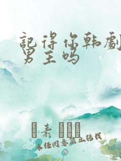 记得你韩剧是双男主吗
