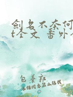 剑名不奈何txt全文 番外全