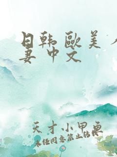 日韩 欧美 人妻 中文
