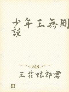 少年王无删减小说