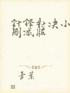 针锋对决小说无删减版
