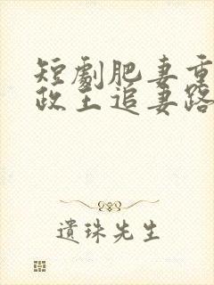 短剧肥妻重生摄政王追妻路漫漫免费