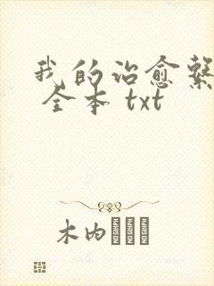 我的治愈系游戏 全本 txt