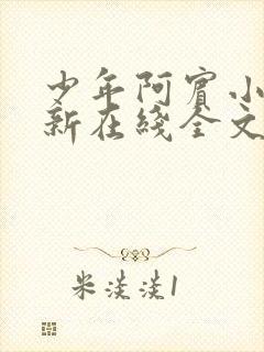 少年阿宾小说最新在线全文阅读
