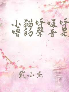 小猫呼吸呼噜呼噜的声音是怎么回事