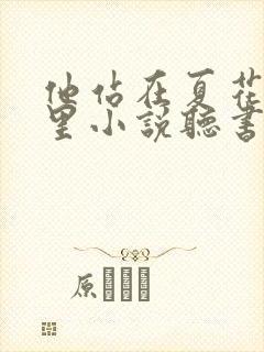 他站在夏花绚烂里小说听书免费全集