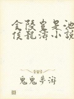 金陵岂是池中物侯龙涛小说