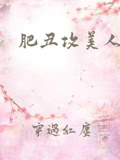 肥丑攻美人受