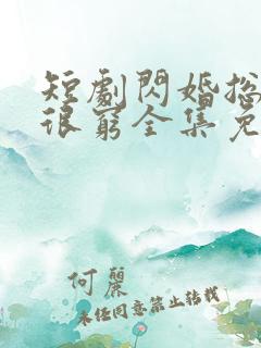 短剧闪婚总裁都很穷全集免费观看
