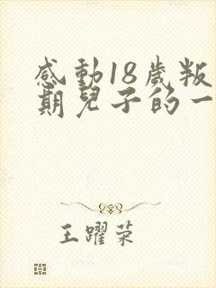 感动18岁叛逆期儿子的一封信