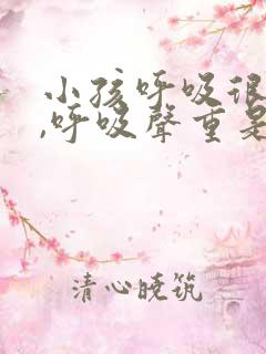 小孩呼吸很急促,呼吸声重是怎么回事