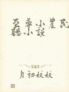 至尊小农民免费听小说