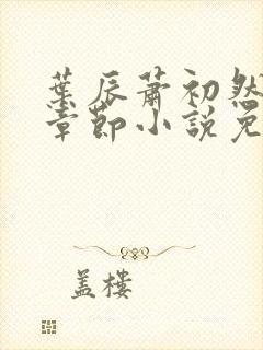 叶辰萧初然最新章节小说免费阅读