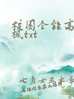 校园全能高手季枫txt