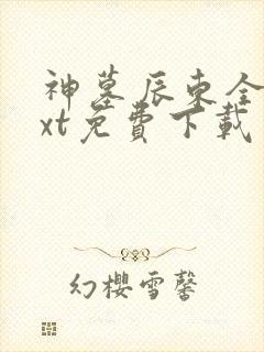 神墓辰东全本txt免费下载