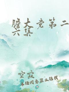 胆大党第二季第六集