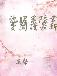 沈昭宁陆聿珩免费阅读最新章节更新
