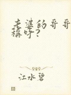 老婆的哥哥怎么称呼?