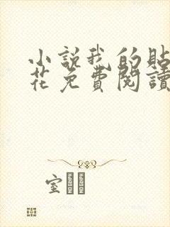 小说我的贴身校花免费阅读原文
