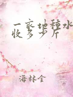 一亩地种水稻能收多少斤