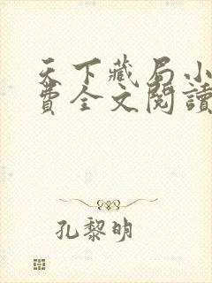 天下藏局小说免费全文阅读