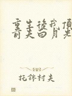 重生后我顶替了前夫白月光 第507章