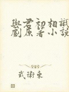与君初相识电视剧原著小说