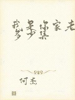 我是你家老祖宗多少集