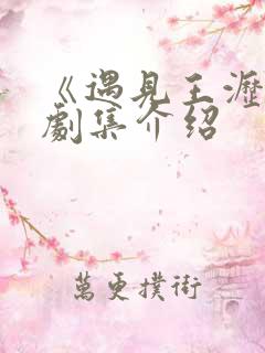《遇见王沥川》剧集介绍