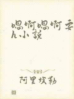 嗯啊嗯啊要生了h小说