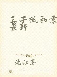王子枫和袁雯洁最新