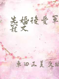 先婚后爱军婚甜宠文