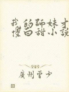 我的师妹才不是傻白甜小说