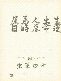 属马人出生年月日时辰命运详解