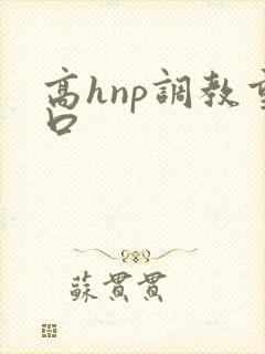 高hnp调教重口