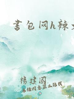 书包网h辣文