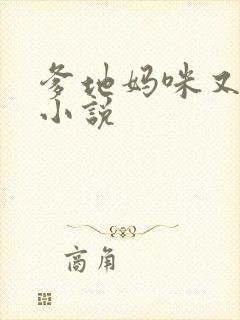 爹地妈咪又跑了小说