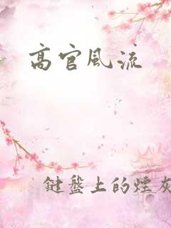 高官风流