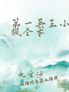 第一兵王小说于枫全本