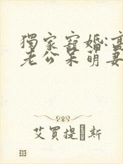 独家宠婚:高冷老公呆萌妻全部章节