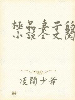 极品妻子的背叛小说全文阅读