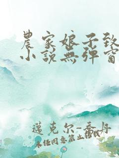 农家娘子致富记小说无弹窗