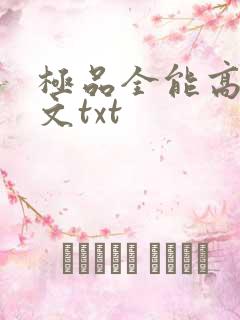 极品全能高手全文txt