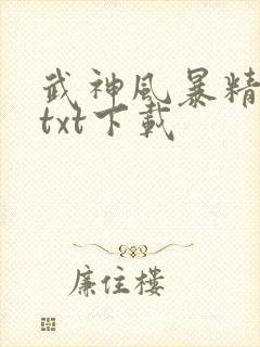 武神风暴精校版txt下载