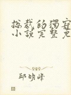 总裁的独宠甜妻小说完整免费