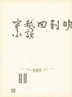 穿越回到明朝的小说