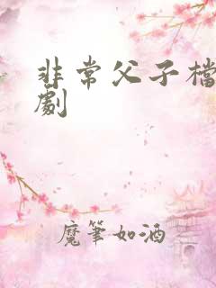 非常父子档电视剧