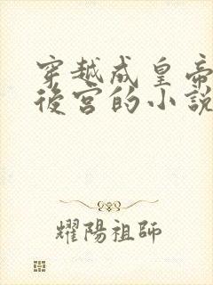 穿越成皇帝霸占后宫的小说