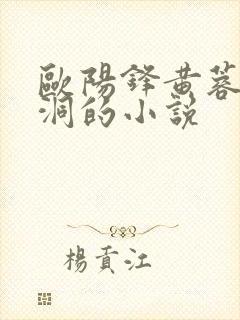 欧阳锋黄蓉在山洞的小说
