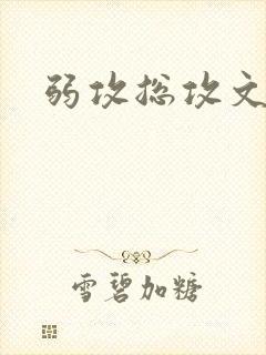 弱攻总攻文